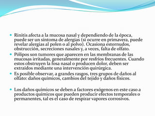  Rinitis afecta a la mucosa nasal y dependiendo de la época,

puede ser un síntoma de alergias (si ocurre en primavera, puede
revelar alergias al polen o al polvo). Ocasiona estornudos,
obstrucción, secreciones nasales y, a veces, falta de olfato.
 Pólipos son tumores que aparecen en las membranas de las
mucosas irritadas, generalmente por resfríos frecuentes. Cuando
estos obstruyen la fosa nasal o producen dolor, deben ser
extraídos mediante una intervención quirúrgica.
 Es posible observar, a grandes rasgos, tres grupos de daños al
olfato: daños químicos, cambios del tejido y daños físicos.
 Los daños químicos se deben a factores exógenos en este caso a

productos químicos que pueden producir efectos temporales o
permanentes, tal es el caso de respirar vapores corrosivos.

 