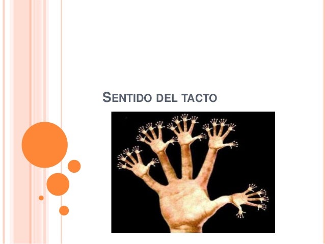 Sentido Del Tacto