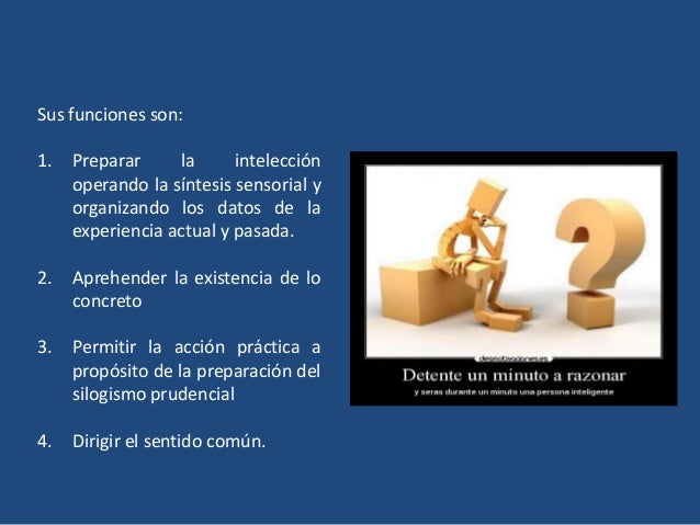 Sentido internos y externos