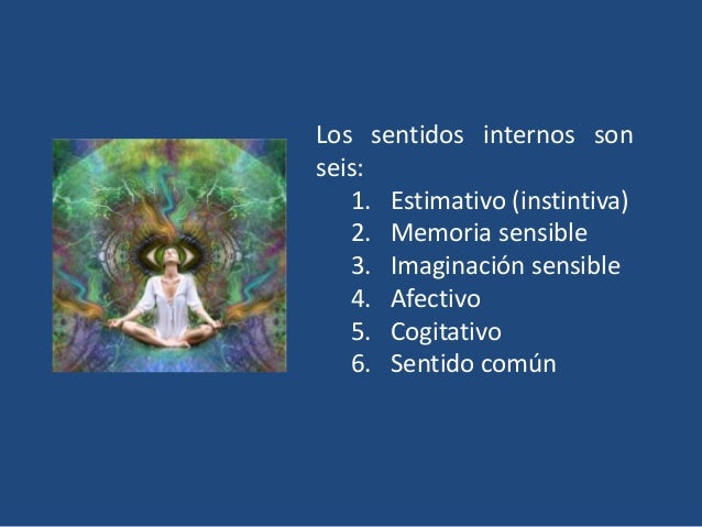 Sentido internos y externos