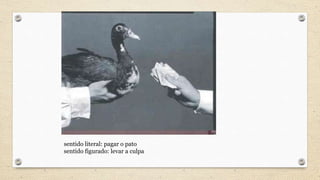 sentido literal: pagar o pato
sentido figurado: levar a culpa