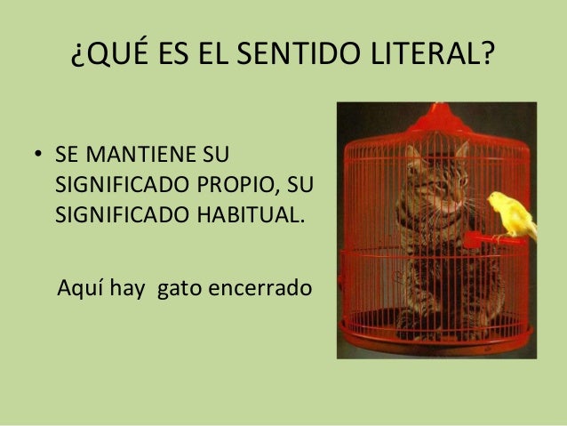 Sentido literal y sentido figurado