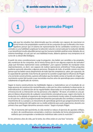 El sentido numérico de los bebés
Lo que pensaba Piaget
D
ado que los estudios han determinado que los animales son capaces de reaccionar en
forma innata a las propiedades numéricas de los conjuntos (lo que ha llevado a los inves-
tigadores pensar que el sistema de representación de las cantidades numéricas en los
animales es una habilidad surgida por la selección natural y conservada por la evolución debido
a sus beneficios) resulta plausible pensar que los humano también podrían estar dotados de un
sistema homólogo, el cual, por ser una habilidad innata, debería aparecer muy temprano en el
curso de su desarrollo biológico.
A partir de estas consideraciones surge la pregunta: ¿los bebés son sensibles a las propieda-
des numéricas de los conjuntos, de la misma forma que lo son algunas especies de animales?
¿bajo qué formatos representan estas cantidades? ¿son capaces también de manipular estas
representaciones, es decir, son capaces de realizar operaciones aritméticas? Estas preguntas
pudieran parecerle absurdas a algunas personas. Después de todo, el sentido común nos hace
pensar que los bebés nacen desprovistos de todo tipo de competencia, salvo, por supuesto, de
la capacidad de aprender. Esta forma de apreciar la cuestión surgió bajo la influencia de Piaget
y la corriente constructivista, quienes afirmaban que los bebés venían al mundo sin ningún co-
nocimiento a priori del mundo y que necesitaba muchos años de aprendizaje para comprender
cabalmente el significado de número.
Según la teoría constructivista las habilidades lógicas y matemáticas son el resultado de un
largo proceso de construcción mental llevada a cabo por los niños mediante la observación, la
internalización y la abstracción de las regularidades observadas en el mundo exterior, durante
el transcurso de su interacción con las personas y los objetos.1
Al nacer, el cerebro es una pá-
gina en blanco desprovisto de cualquier conocimiento conceptual ya que, según esta teoría, la
evolución no ha dotado al organismo de ningún conocimiento innato sobre el medioambiente
en el cual vive, solo le ha proporcionado herramientas perceptuales (los sentidos) y motoras (el
movimiento de su cuerpo) y un mecanismo de aprendizaje general que progresivamente toma
ventaja de la interacción del sujeto con su medio ambiente para auto-organizarse, durante una
primera fase que Piaget denomina sensorio-motor.1
Según el propio Piaget:
“En el momento del nacimiento, la vida mental se reduce al ejercicio de aparatos reflejos,
es decir, de coordinaciones sensoriales y motrices montadas de forma absolutamente he-
reditaria que corresponden a tendencias instintivas tales como la nutrición”. 2
En los primeros años de vida, por lo tanto, los niños están en una fase “sensorio-
1
Rubén Espinoza Condor
1
,
 