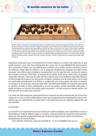 El sentido numérico de los bebés
Figura 2. Tarea: comparar la extensión de la clase y la subclase mayor a través de preguntas del tipo: ¿hay más cuen-
tas de madera que cuentas marrones? Piaget afirma que el éxito depende de la capacidad del niño para efectuar
simultáneamente las operaciones reversibles de adición de clases y sustracción de clases. El niño debe considerar
el todo (clase) al tiempo que mantienen la identidad de las partes (subclases). La comparación cuentas de made-
ra-cuentas marrones, le exige pensar en las cuentas marrones como cuentas marrones y como cuentas de madera
simultáneamente. El niño no es capaz de resolver el problema hasta aproximadamente los 7 u 8 años. Antes de esta
edad el niño típicamente contesta: “hay más cuentas marrones”, al hacer erróneamente la comparación simple entre
subclases.
reproducir demuestra que la construcción de estas últimas es mucho más tardía de lo que
puede parecer y que está muy relacionada, de nuevo, con la reversibilidad del pensamiento.
Se le presenta al sujeto una caja abierta que contiene unas veinte cuentas marrones y dos o
tres blancas, todas ellas de madera, y se le pregunta simplemente, después de haber hecho
constatar este último dato (mediante manipulación) si en la caja hay más cuentas de madera
que cuentas marrones. Pues bien, la mayoría de los niños, antes de los siete años, no pueden
responder más que: «Hay más de color marrón», puesto que, en la medida en que ellos disocian
el todo («todas de madera») en dos partes no logran comparar una de estas partes con el todo
así construido mentalmente y se limitan a compararlo con la otra parte, tal como se observa
en la Figura 2. Al contrario, hacia los siete años esta dificultad debida a la intuición perceptiva
se atenúa y el todo se hace comparable a una de sus partes, siendo concebida cada parte, a
partir de ahora, en función del propio todo (una parte = al todo menos las demás partes, por
intervención de la operación inversa).”2
Los niños de edad temprana, aparentemente no conocen las bases elementales de la teoría de
conjuntos, el cual muchos matemáticos creen que proporciona los fundamentos para la arit-
mética: que un subconjunto no puede tener más elementos que el conjunto original del cual
fue extraído.
La seriación
La seriación es la capacidad que tiene el niño para ordenar objetos, esta capacidad se inicia su
desarrollo por ordenar objetos según su tamaño, ordenando del más pequeño al más grande,
luego del más grande al pequeño hasta que finalmente logra formar series ascendentes y
descendentes al mismo tiempo.
“Una relación asimétrica, como por ejemplo B < C no es inteligible más que en
Rubén Espinoza Condor
5
,
 