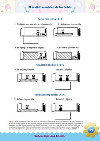 El sentido numérico de los bebés
Figura 7. En el experimento de Karen Wynn se demostró que los bebes esperan que 1+1 sea igual a 2. Primero se
oculta un muñeco detrás de una pantalla. Luego se añade un segundo muñeco, similar al primero. Finalmente se
levanta la pantalla, algunas veces revelando dos muñecos, y otras veces solo uno (el otro muñeco había sido su-
brepticiamente extraído). Los bebés observaban sistemáticamente por más tiempo el evento imposible “1+1=1”
que el posible “1+1=2”, sugiriendo que ellos esperaban observar dos objetos. Tomado de Wynn (1992)14
Secuencia inicial: 1+1
Resultado posible: 1+1=2
Resultado imposible: 1+1=1
1. El objeto es colocado en el escenario 2. Se levanta la pantalla
3. Se agrega el segundo objeto 4. La mano queda vacía
5. Se baja la pantalla Revela 2 objetos
5. Se baja la pantalla Revela 1 objetos
Rubén Espinoza Condor
19
,
 