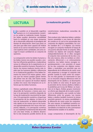 El sentido numérico de los bebés
LECTURA
Una cuestión en el desarrollo cognitivo
humano es si el razonamiento numéri-
co no verbal es realmente innato. Aunque
los bebes pueden demostrar sensibilidad
hacia la cantidad en una etapa temprana
de su desarrollo utilizando el paradigma del
tiempo de observación, tiene que pasar un
año para que ellos sean capaces de realizar
tareas en la cual se necesita hacer una elec-
ción explicita entre cantidades, tal como es-
coger la mayor cantidad de un conjunto de
opciones.
La comparación entre los bebes humanos y
los bebes monos nos pueden ayudar a ana-
lizar las influencias genéticas y madurativas
versus la influencia de la experiencia en el
desarrollo numérico humano. Durante la in-
fancia, los monos maduran mucho más rá-
pido que los humanos debido a diferencias
en su maduración genética. A los bebes hu-
manos les toma 8-10 meses gatear, mien-
tras que los monos pueden gatear dentro
del primer mes de vida. Del mismo modo,
los monos son capaces de localizar objetos
ocultos tres veces más temprano en su in-
fancia que los bebes humanos.
Hemos capitalizado estas diferencias en el
desarrollo de humanos y monos para eva-
luar si la percepción numérica depende de
la tasa de maduración neuronal de las espe-
cies. Si la percepción numérica, al igual que
la percepción de los objetos, se basa en la
tasa de maduración, se debería desarrollar
más rápido en los monos que en los huma-
nos (aproximadamente tres veces más tem-
prano). Además, si la percepción numérica
es una habilidad fundamental del desarrollo
con una base innata, se debería desarro-
llar lo más temprano posible dentro de las
constricciones madurativas conocidas de
cada especie.
Para evaluar esto, babuinos bebes y adultos
fueron sometidos a una tarea de elección
de comida en el cual se les presentaba dos
conjuntos de objetos comestibles, los cua-
les variaban de 1 a 8 objetos. Los monos
escogían un conjunto mediante el toque de
una puerta ubicada frente al conjunto. Ellos
recibían los objetos del conjunto elegido,
independientemente de si ellos escogían
el conjunto más numeroso de los dos o no.
De esta manera, ellos no recibían un refor-
zamiento diferencial o un entrenamiento
numérico. Los bebés monos escogían es-
pontáneamente y con precisión el mayor
de los dos conjuntos con objetos comes-
tibles y mostraban una precisión que era
dependiente de la diferencia de razón: eran
más propensos a escoger el conjunto más
grande cuando la razón entre los conjun-
tos era más grande. Lo interesante es que
no se encontró ninguna diferencia entre el
desempeño de los adultos y el desempeño
de los bebés en esta tarea. El ajuste para
la precisión de los monos adultos y bebés a
la predichas por la Ley de Weber, se mues-
tran en la figura. Ambos grupos mostraron
un efecto que depende de la razón numéri-
ca en su desempeño, aun cuando no hubo
diferencias entre los grupos. Los monos
bebes y adultos también tuvieron la misma
precisión general y la misma sensibilidad a
la diferencia de razón entre los conjuntos.
De esta manera, la habilidad numérica es-
pontanea de los monos están bastante de-
sarrolladas a la edad de un año y permanece
relativamente estable en la adultez.
Luego comparamos el desempeño de los
La maduración genética
Rubén Espinoza Condor
24
,
 