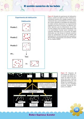 El sentido numérico de los bebés
Figura 16. Ejemplo de experimento de habituación.
Incluso, cuando son bebés los niños muestran co-
nocimiento numérico Xu y Spelke evaluaron la dis-
criminación de la numerosidad de 8 vs 16 en bebés
de 6 meses utilizando un paradigma de habituación.
Los bebes primero observaron una representación
repetida ya sea de 8 o 16 puntos. Se utilizaron con-
troles rigurosos para las dimensiones no numéri-
cas para asegurar que los bebés respondieran solo
a la numerosidad. Cuando fueron evaluados con
conjuntos alternados de 8 y 16 puntos, los bebés
observaban por más tiempo el conjunto numérico
nuevo en comparación con el que ya habían sido
habituados (8 o 16) demostrando que respondían y
discriminaban exitosamente a los números. Tomado
de Xu y Spelke (2000)25
Figura 17. Esquema de
una prueba de adición 6 +
4. cuando a los bebés de 9
meses de edad se les pre-
senta esta tarea, observan
significativamente por más
tiempo los resultados inco-
rrectos que los resultados
correctos. Tomado de Mc-
Crink y col. (2007).71
Experimento de habituación
Habituación
Prueba 1
Prueba 2
Prueba 3
etc...
5 objetos:
incorrecto
20 objetos:
incorrecto
10 objetos:
correcto
6 rectángulos descienden desde ex-
tremo superior de la pantalla y luego
se los oculta
Se agregan 4 rectángulos más desde
el extremo izquierdo de la pantalla
y se desplazan detrás de la pantalla
blanca, ocultándose
Rubén Espinoza Condor
38
,
 