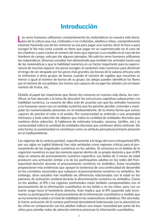 Introducción
Los seres humanos utilizamos constantemente las matemáticas en nuestra vida diaria.
Sea de la cultura que sea, civilizados o no civilizados, adultos o niños, constantemente
estamos haciendo uso de los números ya sea para pagar una cuenta, decir la hora o para
escoger la fila más corta cuando se tiene que pagar en un supermercado en el caso de
los citadinos o para contar el número de reses que ingresan a un establo en el caso de los
hombres de campo, solo por dar algunos ejemplos. No solo los seres humanos utilizamos
las matemáticas. Diversos estudios han demostrado que también los animales hacen uso
de las matemáticas y que la habilidad numérica es un factor importante para la supervi-
vencia de muchas especie: los peces escogen el cardumen más numeroso para disminuir
el riesgo de ser atrapado por los peces más grandes, las leonas de la sabana africana solo
se enfrentan a otros grupos de leonas cuando el número de rugidos que escuchan es
menor o igual al número de leonas de su grupo, las abejas pueden identificar las flores
por el número de sus pétalos, los monos son capaces de escoger los arboles con el mayor
número de frutos, etc.
Debido al papel tan importante que tienen los números en nuestra vida diaria, los cien-
tíficos se han abocado a la tarea de descubrir las estructuras cognitivas subyacentes a la
habilidad numérica. La mayoría de ellos está de acuerdo con que los animales humanos
y no humanos nacen con un sentido numérico que les permite percibir, entender y mani-
pular las numerosidades presentes en el medioambiente, de la misma forma que somos
capaces de percibir el color o el sonido. Por numerosidad se entiende a una propiedad
intrínseca a toda colección de objetos que indica la cantidad de entidades discretas que
contiene dicha colección. Si hablamos de estímulos (visuales, sonoros, táctiles, etc.), la
numerosidad indica la cantidad de entidades discretas que contienen dicho estimulo. De
esta forma, la numerosidad se constituye como un atributo perceptual primario presente
en el medioambiente.
Las regiones de la corteza parietal, específicamente a lo largo del surco intraparietal (IPS,
por sus siglas en inglés) bilateral, han sido señaladas como regiones críticas para el pro-
cesamiento de las magnitudes numéricas en los adultos. El consenso en el ámbito de la
cognición numérica es que los números operan dentro de su propio dominio y que el IPS
aloja un sistema de procesamiento numérico específico. Los bebés de 3 meses de edad
producen una activación similar a la de los participantes adultos en las redes del fron-
toparietal derecho durante el procesamiento numérico no simbólico. Estos resultados
proporcionan más evidencias que apoyan la existencia de una continuidad de desarrollo
en los correlatos neuronales que subyacen al procesamiento numérico no simbólico. Sin
embargo, otros estudios han resaltado las diferencias relacionadas con la edad en los
patrones de activación cerebral durante la discriminación numérica no simbólica. Como
en los adultos, el IPS y las regiones prefrontales están también comprometidos con el
procesamiento de la información cuantitativa en los bebés y en los niños, pero con un
fuerte sesgo hacia el hemisferio derecho. Esto implica que el IPS izquierdo solo incre-
menta su participación en el procesamiento de la información cuantitativa a medida que
se incrementa la edad o el nivel de habilidad en las matemáticas simbólicas. Por otro lado,
la fuerte activación de la corteza prefrontal dorsolateral (relacionada con la atención) en
los niños en comparación con los adultos indican una mayor necesidad por parte de los
niños para asimilar redes de atención mientras procesan la información cuantitativa.
i
 
