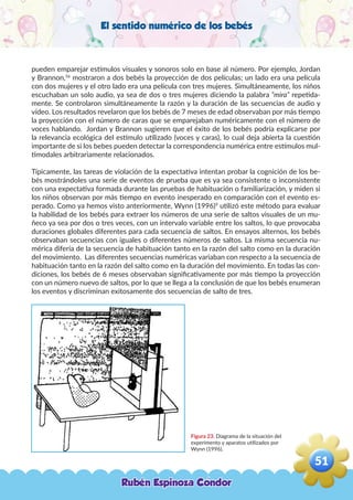 El sentido numérico de los bebés
pueden emparejar estímulos visuales y sonoros solo en base al número. Por ejemplo, Jordan
y Brannon,56
mostraron a dos bebés la proyección de dos películas; un lado era una película
con dos mujeres y el otro lado era una película con tres mujeres. Simultáneamente, los niños
escuchaban un solo audio, ya sea de dos o tres mujeres diciendo la palabra “mira” repetida-
mente. Se controlaron simultáneamente la razón y la duración de las secuencias de audio y
vídeo. Los resultados revelaron que los bebés de 7 meses de edad observaban por más tiempo
la proyección con el número de caras que se emparejaban numéricamente con el número de
voces hablando. Jordan y Brannon sugieren que el éxito de los bebés podría explicarse por
la relevancia ecológica del estímulo utilizado (voces y caras), lo cual deja abierta la cuestión
importante de si los bebes pueden detectar la correspondencia numérica entre estímulos mul-
timodales arbitrariamente relacionados.
Típicamente, las tareas de violación de la expectativa intentan probar la cognición de los be-
bés mostrándoles una serie de eventos de prueba que es ya sea consistente o inconsistente
con una expectativa formada durante las pruebas de habituación o familiarización, y miden si
los niños observan por más tiempo en evento inesperado en comparación con el evento es-
perado. Como ya hemos visto anteriormente, Wynn (1996)9
utilizó este método para evaluar
la habilidad de los bebés para extraer los números de una serie de saltos visuales de un mu-
ñeco ya sea por dos o tres veces, con un intervalo variable entre los saltos, lo que provocaba
duraciones globales diferentes para cada secuencia de saltos. En ensayos alternos, los bebés
observaban secuencias con iguales o diferentes números de saltos. La misma secuencia nu-
mérica difería de la secuencia de habituación tanto en la razón del salto como en la duración
del movimiento. Las diferentes secuencias numéricas variaban con respecto a la secuencia de
habituación tanto en la razón del salto como en la duración del movimiento. En todas las con-
diciones, los bebés de 6 meses observaban significativamente por más tiempo la proyección
con un número nuevo de saltos, por lo que se llega a la conclusión de que los bebés enumeran
los eventos y discriminan exitosamente dos secuencias de salto de tres.
Figura 23. Diagrama de la situación del
experimento y aparatos utilizados por
Wynn (1996).
Rubén Espinoza Condor
51
,
 