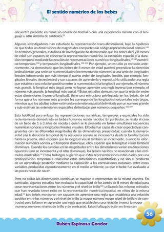El sentido numérico de los bebés
encuentre presente en niños sin educación formal o con una experiencia mínima con el len-
guaje u otro sistema de símbolos.22
Algunos investigadores han estudiado la representación trans-dimensional, bajo la hipótesis
de que todas las dimensiones de magnitudes comparten un código representacional común.100
En términos generales, esta línea de investigación ha demostrado que los bebes de 9 y 8 meses
de edad son capaces de conectar la representación numérica, la extensión espacial y la dura-
ción temporal mediante la creación de representaciones numérico-longitudinales,15,100
numéri-
co-temporales,100
y temporales-longitudinales.100,101
Por ejemplo, un estudio ya revisado ante-
riormente, ha demostrado que los bebes de 8 meses de edad pueden generalizar la dirección
ordinal desde una serie de numerosidades (incrementando números) a una serie de longitudes
lineales (observando por más tiempo el nuevo orden de longitudes lineales, por ejemplo, lon-
gitudes lineales decrecientes) y son capaces de aprenderlo y reproducirlo utilizando una regla
que establece una relación positiva entre la numerosidad y la longitud ( por ejemplo, el número
más grande, la longitud más larga), pero no logran aprender una regla inversa (por ejemplo, el
número más grande, la longitud más corta).15
Estos estudios demuestran que la relación entre
estas dimensiones (numero/longitud), tiene una estructura privilegiada en los bebés, de tal
forma que a los números más grandes les corresponde las longitudes horizontales más largas,
mientras que los adultos sobre-estiman la extensión espacial delimitada por un numero grande
y sub-estiman las extensiones espaciales delimitadas por números pequeños.102,104
Esta habilidad para enlazar las representaciones numéricas, temporales y espaciales ha sido
recientemente demostrada en bebés humanos recién nacidos. En particular, se relata el caso
de un bebe de 1 a 3 años de nacido a quien se le presento en forma simultánea secuencias
numéricas sonoras y longitudes lineales visuales. El bebe fue capaz de crear expectativas con-
gruentes con las diferentes magnitudes de las dimensiones presentadas: cuando la numero-
sidad y/o la duración temporal de la secuencia sonora se incrementa desde la familiarización
hasta la prueba, ellos esperan que la longitud visual también se incremente, cuando la infor-
mación numérica sonora y/o temporal disminuye, ellos esperan que la longitud visual también
disminuya. Cuando los cambios en las magnitudes entre las dimensiones varían en direcciones
opuestas (uno se incrementa y el otro disminuye), los recién nacidos no reaccionan a los estí-
mulos mostrados.16
Estos hallazgos sugieren que estas representaciones están dadas por una
predisposición temprana a relacionar estas dimensiones cuantitativas y no son el producto
de un aprendizaje posterior mediante la exposición a las correlaciones naturales entre estas
variables producidas espontáneamente en el medio ambiente, ya que el bebé fue evaluado a
las pocas horas de nacer.
Pero no todas las dimensiones continuas se mapean o representan de la misma manera. En
particular, algunos estudios han evaluado la capacidad de los bebés de 8 meses de edad para
crear representaciones entre los números y el nivel de brillo105
utilizando los mismos métodos
que han revelado tener éxito en la representación numérica/espacial, en niños de la misma
edad.15
Los bebés mostraron ser capaces de aprender una regla que establecía una relación
positiva entre los números y el nivel de brillo (a mayor número mayor nivel de brillo y de con-
traste) pero fallaron en aprender una regla que estableciera una relación inversa (a mayor
numero, menores niveles de brillo y de contraste). Estos hallazgos están en línea con
Rubén Espinoza Condor
56
,
 