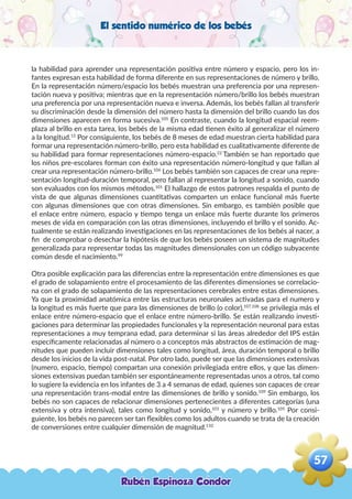 El sentido numérico de los bebés
la habilidad para aprender una representación positiva entre número y espacio, pero los in-
fantes expresan esta habilidad de forma diferente en sus representaciones de número y brillo.
En la representación número/espacio los bebés muestran una preferencia por una represen-
tación nueva y positiva; mientras que en la representación número/brillo los bebés muestran
una preferencia por una representación nueva e inversa. Además, los bebés fallan al transferir
su discriminación desde la dimensión del número hasta la dimensión del brillo cuando las dos
dimensiones aparecen en forma sucesiva.105
En contraste, cuando la longitud espacial reem-
plaza al brillo en esta tarea, los bebés de la misma edad tienen éxito al generalizar el número
a la longitud.15
Por consiguiente, los bebés de 8 meses de edad muestran cierta habilidad para
formar una representación número-brillo, pero esta habilidad es cualitativamente diferente de
su habilidad para formar representaciones número-espacio.22
También se han reportado que
los niños pre-escolares forman con éxito una representación número-longitud y que fallan al
crear una representación número-brillo.106
Los bebés también son capaces de crear una repre-
sentación longitud-duración temporal, pero fallan al representar la longitud a sonido, cuando
son evaluados con los mismos métodos.101
El hallazgo de estos patrones respalda el punto de
vista de que algunas dimensiones cuantitativas comparten un enlace funcional más fuerte
con algunas dimensiones que con otras dimensiones. Sin embargo, es también posible que
el enlace entre número, espacio y tiempo tenga un enlace más fuerte durante los primeros
meses de vida en comparación con las otras dimensiones, incluyendo el brillo y el sonido. Ac-
tualmente se están realizando investigaciones en las representaciones de los bebés al nacer, a
fin de comprobar o desechar la hipótesis de que los bebés poseen un sistema de magnitudes
generalizada para representar todas las magnitudes dimensionales con un código subyacente
común desde el nacimiento.99
Otra posible explicación para las diferencias entre la representación entre dimensiones es que
el grado de solapamiento entre el procesamiento de las diferentes dimensiones se correlacio-
na con el grado de solapamiento de las representaciones cerebrales entre estas dimensiones.
Ya que la proximidad anatómica entre las estructuras neuronales activadas para el numero y
la longitud es más fuerte que para las dimensiones de brillo (o color),107,108
se privilegia más el
enlace entre número-espacio que el enlace entre número-brillo. Se están realizando investi-
gaciones para determinar las propiedades funcionales y la representación neuronal para estas
representaciones a muy temprana edad, para determinar si las áreas alrededor del IPS están
específicamente relacionadas al número o a conceptos más abstractos de estimación de mag-
nitudes que pueden incluir dimensiones tales como longitud, área, duración temporal o brillo
desde los inicios de la vida post-natal. Por otro lado, puede ser que las dimensiones extensivas
(numero, espacio, tiempo) compartan una conexión privilegiada entre ellos, y que las dimen-
siones extensivas puedan también ser espontáneamente representadas unos a otros, tal como
lo sugiere la evidencia en los infantes de 3 a 4 semanas de edad, quienes son capaces de crear
una representación trans-modal entre las dimensiones de brillo y sonido.109
Sin embargo, los
bebés no son capaces de relacionar dimensiones pertenecientes a diferentes categorías (una
extensiva y otra intensiva), tales como longitud y sonido,101
y número y brillo.105
Por consi-
guiente, los bebés no parecen ser tan flexibles como los adultos cuando se trata de la creación
de conversiones entre cualquier dimensión de magnitud.110
Rubén Espinoza Condor
57
,
 