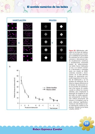 El sentido numérico de los bebés
Figura 28. (B)Estímulos utili-
zados en las fases de habitua-
ción y de prueba para investi-
gar la habilidad de generalizar
los estímulos (ya sea en orden
creciente o decreciente) des-
de visualizaciones numéricas
a visualizaciones mostrando
niveles de brillo/contraste.
Los bebés fueron habituados
ya sea a un número crecien-
te o decreciente y evaluados
tanto con niveles de brillo/
contraste creciente y decre-
cientes. En el lado derecho,
tiempo de observación pro-
medio (segundos) en las prue-
bas de habituación y en las
pruebas de evaluación. No se
observo ninguna diferencia en
el tiempo de observación en-
tre las pruebas de familiariza-
ción y las nuevas, En cambio,
cuando se utilizan los mismos
métodos, pero empleando la
dimensión de longitud en vez
del brillo, los bebes generali-
zan exitosamente la informa-
ción ordinal proveniente del
número y la longitud y por lo
tanto observan significativa-
mente por más tiempo la nue-
va información ordinal en las
pruebas. Tomado de de Hevia
y Spelke, (2010). 101
Orden familiar
Nuevo orden
HABITUACIÓN PRUEBA
O Y
Mediadetiempodeobservación(s)
Prueba de habituación
Rubén Espinoza Condor
59
,
 