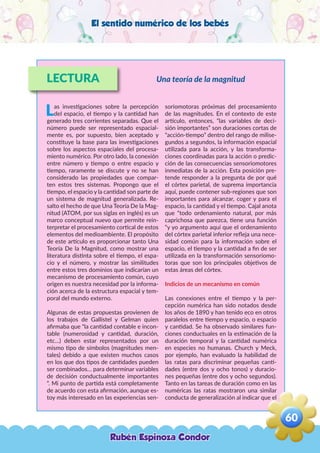 El sentido numérico de los bebés
LECTURA
Las investigaciones sobre la percepción
del espacio, el tiempo y la cantidad han
generado tres corrientes separadas. Que el
número puede ser representado espacial-
mente es, por supuesto, bien aceptado y
constituye la base para las investigaciones
sobre los aspectos espaciales del procesa-
miento numérico. Por otro lado, la conexión
entre número y tiempo o entre espacio y
tiempo, raramente se discute y no se han
considerado las propiedades que compar-
ten estos tres sistemas. Propongo que el
tiempo, el espacio y la cantidad son parte de
un sistema de magnitud generalizada. Re-
salto el hecho de que Una Teoría De la Mag-
nitud (ATOM, por sus siglas en inglés) es un
marco conceptual nuevo que permite rein-
terpretar el procesamiento cortical de estos
elementos del medioambiente. El propósito
de este artículo es proporcionar tanto Una
Teoría De la Magnitud, como mostrar una
literatura distinta sobre el tiempo, el espa-
cio y el número, y mostrar las similitudes
entre estos tres dominios que indicarían un
mecanismo de procesamiento común, cuyo
origen es nuestra necesidad por la informa-
ción acerca de la estructura espacial y tem-
poral del mundo externo.
Algunas de estas propuestas provienen de
los trabajos de Gallistel y Gelman quien
afirmaba que “la cantidad contable e incon-
table (numerosidad y cantidad, duración,
etc…) deben estar representados por un
mismo tipo de símbolos (magnitudes men-
tales) debido a que existen muchos casos
en los que dos tipos de cantidades pueden
ser combinados… para determinar variables
de decisión conductualmente importantes
“. Mi punto de partida está completamente
de acuerdo con esta afirmación, aunque es-
toy más interesado en las experiencias sen-
soriomotoras próximas del procesamiento
de las magnitudes. En el contexto de este
artículo, entonces, “las variables de deci-
sión importantes” son duraciones cortas de
“acción-tiempo” dentro del rango de milise-
gundos a segundos, la información espacial
utilizada para la acción, y las transforma-
ciones coordinadas para la acción o predic-
ción de las consecuencias sensoriomotores
inmediatas de la acción. Esta posición pre-
tende responder a la pregunta de por qué
el córtex parietal, de suprema importancia
aquí, puede contener sub-regiones que son
importantes para alcanzar, coger y para el
espacio, la cantidad y el tiempo. Cajal anota
que “todo ordenamiento natural, por más
caprichosa que parezca, tiene una función
“y yo argumento aquí que el ordenamiento
del córtex parietal inferior refleja una nece-
sidad común para la información sobre el
espacio, el tiempo y la cantidad a fin de ser
utilizada en la transformación sensoriomo-
toras que son los principales objetivos de
estas áreas del córtex.
Indicios de un mecanismo en común
Las conexiones entre el tiempo y la per-
cepción numérica han sido notados desde
los años de 1890 y han tenido eco en otros
paralelos entre tiempo y espacio, o espacio
y cantidad. Se ha observado similares fun-
ciones conductuales en la estimación de la
duración temporal y la cantidad numérica
en especies no humanas. Church y Meck,
por ejemplo, han evaluado la habilidad de
las ratas para discriminar pequeñas canti-
dades (entre dos y ocho tonos) y duracio-
nes pequeñas (entre dos y ocho segundos).
Tanto en las tareas de duración como en las
numéricas las ratas mostraron una similar
conducta de generalización al indicar que el
Una teoría de la magnitud
Rubén Espinoza Condor
60
,
 
