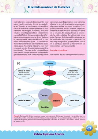 El sentido numérico de los bebés
cuatro (tonos o segundos) se encuentra en el
punto medio entre dos (tonos, segundos) y
ocho. También se pueden encontrar eviden-
cias que enlazan el tiempo y el espacio en la
literatura neurológica. Critchley, revisando
estudios neurológicos notó un solapamiento
entre el déficit de tiempo, espacio, tamaño y
número como consecuencia de un daño en
el córtex parietal, después del cual “la des-
orientación temporal pura… ocurriendo in-
dependientemente de los desórdenes espa-
ciales, es un fenómeno más raro, pues muy
a menudo los dos desordenes se encuentran
combinados”. También se ha reconocido un
enlace entre tiempo y numero en la psicolo-
gía del desarrollo, pero como Bryant y Squire
comentan, cuando pensamos en el número y
el espacio, los psicólogos generalmente con-
ciben este enlace en forma negativa. El es-
pacio, para ellos, es una parte de un proble-
ma en las matemáticas de los niños, no parte
de la solución. En otras palabras, la tenden-
cia ha sido enfatizar las diferencias entre
estas fuentes de información antes que en
las similitudes informativas, lo que limita las
estrategias cognitivas que se pueden utilizar
en la conducta espacial y más tarde en las
matemáticas y el razonamiento.
Los enlaces perdidos
Los indicios de una correspondencia, señala-
Figura 1. Comparación de dos esquemas para el procesamiento del tiempo, el espacio y la cantidad. Las tres
magnitudes pueden ser analizadas en forma separada y comparadas de acuerdo a su propia métrica (a), o, en un
sistema de magnitud generalizado como se sugiere aquí, calculados de acuerdo a una métrica común. Tomado
de Walsh (2003)82
Rubén Espinoza Condor
61
,
 