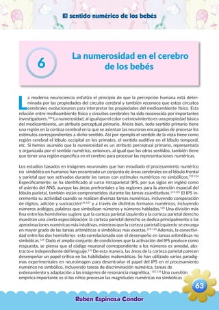 El sentido numérico de los bebés
La numerosidad en el cerebro
de los bebés6
L
a moderna neurociencia enfatiza el principio de que la percepción humana está deter-
minada por las propiedades del circuito cerebral y también reconoce que estos circuitos
cerebrales evolucionaron para interpretar las propiedades del medioambiente físico. Esta
relación entre medioambiente físico y circuitos cerebrales ha sido reconocida por importantes
investigadores.108
La numerosidad, al igual que el color o el movimiento es una propiedad básica
del medioambiente, un atributo perceptual primario. Ahora bien, todo sentido primario tiene
una región en la corteza cerebral en la que se asientan las neuronas encargados de procesar los
estímulos correspondientes a dicho sentido. Así por ejemplo el sentido de la vista tiene como
región cerebral el lóbulo occipital en los primates, el sentido auditivo en el lóbulo temporal,
etc. Si hemos asumido que la numerosidad es un atributo perceptual primario, representada
y organizada por el sentido numérico, entonces, al igual que los otros sentidos, también tiene
que tener una región especifica en el cerebro para procesar las representaciones numéricas.
Los estudios basados en imágenes neuronales que han estudiado el procesamiento numérico
no simbólico en humanos han encontrado un conjunto de áreas cerebrales en el lóbulo frontal
y parietal que son activados durante las tareas con estímulos numéricos no simbólicos.119-124
Especificamente, se ha identificado al surco intraparietal (IPS, por sus siglas en inglés) como
el asiento del ANS, aunque las áreas prefrontales y las regiones para la atención espacial del
lóbulo parietal, también están comprometidos durante las tareas cuantitativas.119,125
El IPS in-
crementa su actividad cuando se realizan diversas tareas numéricas, incluyendo comparación
de dígitos, adición y sustracción126,127
y a través de distintos formatos numéricos, incluyendo
números arábigos, palabras que simbolizan números y números hablados.128
Una división más
fina entre los hemisferios sugiere que la corteza parietal izquierdo y la corteza parietal derecho
muestran una cierta especialización: la corteza parietal derecho se dedica principalmente a las
aproximaciones numéricas más intuitivas, mientras que la corteza parietal izquierdo se encarga
en mayor grado de las tareas aritméticas o simbólicas más exactas.129-130
Además, la conectivi-
dad entre los dos hemisferios esta correlacionado con el desempeño en tareas aritméticas no
simbólicas.129
Dado el amplio conjunto de condiciones que la activación del IPS produce como
respuesta, se piensa que el código neuronal correspondiente a los números es amodal, abs-
tracto e independiente del lenguaje.131
De esta manera, las áreas de la corteza parietal parecen
desempeñar un papel crítico en las habilidades matemáticas. Se han utilizado varios paradig-
mas experimentales en neuroimagen para desentrañar el papel del IPS en el procesamiento
numérico no simbólico, incluyendo tareas de discriminación numérica, tareas de
ordenamiento y adaptación a las imágenes de resonancia magnética. 132-135
Una cuestión
empírica importante es si los niños procesan las magnitudes numéricas no simbólicas
Rubén Espinoza Condor
63
,
 