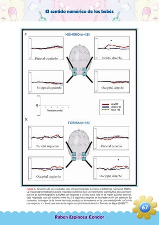 El sentido numérico de los bebés
Figura 6. Resumen de los resultados con el Espectroscopio Cercano al Infrarrojo Funcional (fNIRS).
La respuesta hemodinámica para el cambio numérico tuvó un incremento significativo en su concen-
tración de Oxihemoglobina (OxyHb) con respecto a la línea base solo en la región parietal derecha.
Esta respuesta tuvo un máximo entre los 2-5 segundos después de la presentación del estímulo. En
contraste, la imagen de la forma desviada produjo un incremento en la concentración de la OxyHb
con respecto a la línea base solo en la región occipital lateral derecha. Tomado de Hyde (2010)137
NÚMERO (n=18)
FORMA (n=18)
Parietal izquierdo
Parietal izquierdo
Parietal derecho
Parietal derecho
Occipital izquierdo
Occipital izquierdo
Occipital derecho
Occipital derecho
Rubén Espinoza Condor
67
,
 