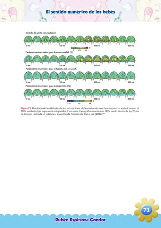 El sentido numérico de los bebés
Figura 21. Resultado del análisis de efectos mixtos lineal del experimento que descompuso las variaciones en el
ERPs mediante tres regresores ortogonales. Este mapa topográfico muestra un ERPs medio dentro de los 20-ms
de tiempo, centrada en la latencia especificada. Tomado de Park y col. (2016)149
Rubén Espinoza Condor
71
,
 