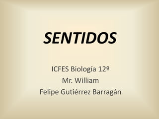 SENTIDOS ICFES Biología 12º Mr. William Felipe Gutiérrez Barragán 