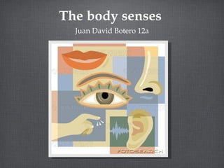 The body senses  ,[object Object]
