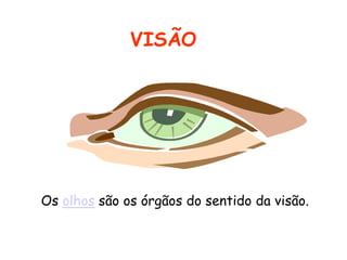 VISÃO




Os olhos são os órgãos do sentido da visão.
 