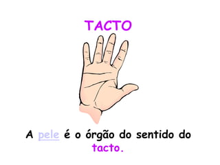 TACTO




A pele é o órgão do sentido do
            tacto.
 