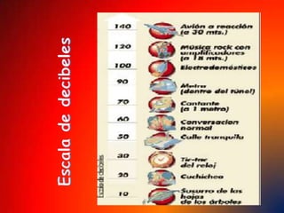 Algunas partes del ojo• Conjuntiva: membrana mucosa transparente que cubre y humedece la esclerótica y el interior de los párpados.• Córnea: membrana dura y transparente situada en la cobertura externa del globo ocular. Consta de cinco capas.• Cristalino o lente: estructura transparente y curva que se encuentra entre el iris y el cuerpo vítreo.• Esclerótica: membrana opaca y blanca que ayuda a mantener la forma del ojo.