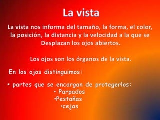 La vistaLa vista nos informa del tamaño, la forma, el color, la posición, la distancia y la velocidad a la que se Desplazan los ojos abiertos.Los ojos son los órganos de la vista.En los ojos distinguimos: partes que se encargan de protegerlos: