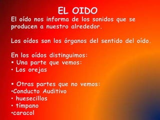 La vistaEl sentido de la vista es el que nos permite percibir sensaciones luminosas y captar el tamaño, la forma y el color de los objetos, así como la distancia a la que se encuentran. Estas sensaciones llegan a través de los ojos, órganos encargados de la visión.