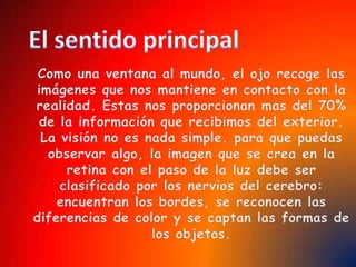  retinaPartes que se encargan de proteger los ojoscejaspestañasparpados