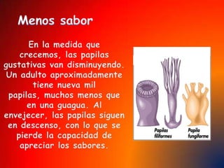En el oído se encuentran también terminales nerviosas que reciben información acerca de los movimientos del cuerpo, ayudando a mantener el equilibrioEl oído