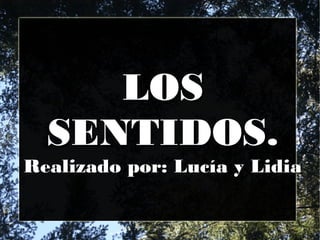 LOS
  SENTIDOS.
Realizado por: Lucía y Lidia
 
