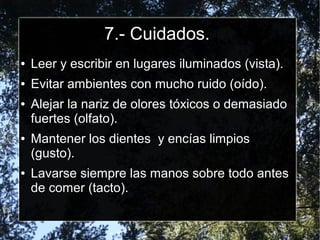 7.- Cuidados.
●   Leer y escribir en lugares iluminados (vista).
●   Evitar ambientes con mucho ruido (oído).
●   Alejar la nariz de olores tóxicos o demasiado
    fuertes (olfato).
●   Mantener los dientes y encías limpios
    (gusto).
●   Lavarse siempre las manos sobre todo antes
    de comer (tacto).
 