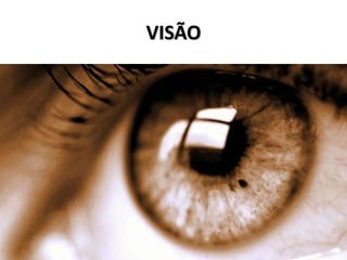 VISÃO 
 