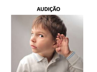 AUDIÇÃO 
 