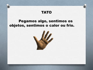 TATO
Pegamos algo, sentimos os
objetos, sentimos o calor ou frio.
 