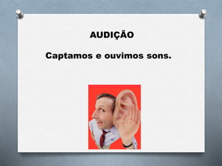 AUDIÇÃO
Captamos e ouvimos sons.
 