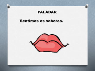 PALADAR
Sentimos os sabores.
 