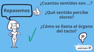 Los Sentidos Tia Vero