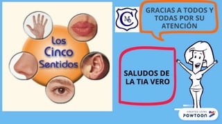 Los Sentidos Tia Vero