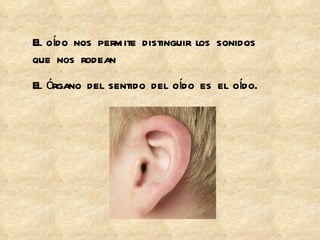 El oído nos permite distinguir los sonidos que nos rodean El órgano del sentido del oído es el oído. 