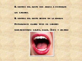 El sentido del gusto nos ayuda a distinguir los sabores. El sentido del gusto reside en la lengua. Distinguimos cuatro tipos de sabores fundamentales: salado, dulce, ácido y amargo 