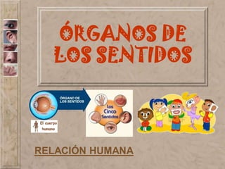 ÓRGANOS DE
LOS SENTIDOS
RELACIÓN HUMANA
 