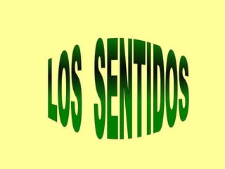 LOS  SENTIDOS 
