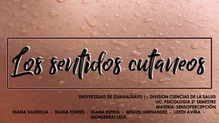 UNIVERSIDAD DE GUANAJUATO || DIVISION CIENCIAS DE LA SALUD
LIC. PSICOLOGIA 2° SEMESTRE
MATERIA: SENSOPERCEPCIÓN
DIANA VALENCIA - DIANA TORRES - DIANA ESPITIA - MIGUEL HERNANDEZ - LIZETH AVIÑA -
MONSERRAT LEZA
 