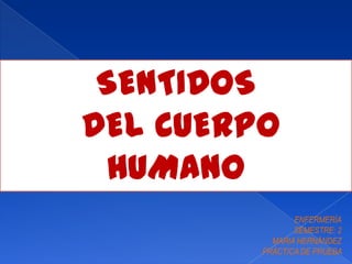 SENTIDOS
DEL CUERPO
HUMANO
ENFERMERÌA
SEMESTRE: 2
MARIA HERNÀNDEZ
PRÀCTICA DE PRUEBA
 