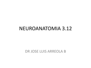 NEUROANATOMIA 3.12
DR JOSE LUIS ARREOLA B
 