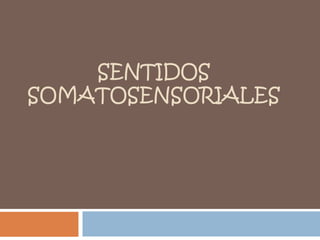 SENTIDOS
SOMATOSENSORIALES
 