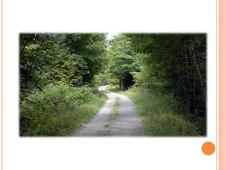 Sentier Nature Tomifobia