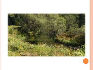 Sentier Nature Tomifobia