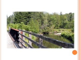 Sentier Nature Tomifobia